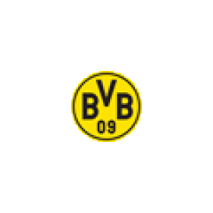 Logo des Shops SHOP BVB
