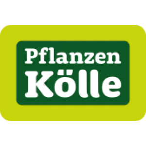 Logo des Shops Pflanzen Kölle