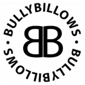 Logo des Shops Bullybillows
