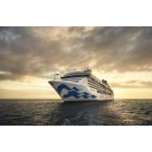 Logo des Shops Princess Cruises